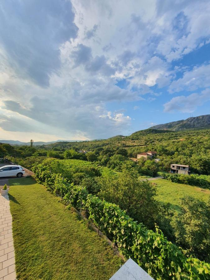 Djukic Winery Appartement Podgorica Buitenkant foto