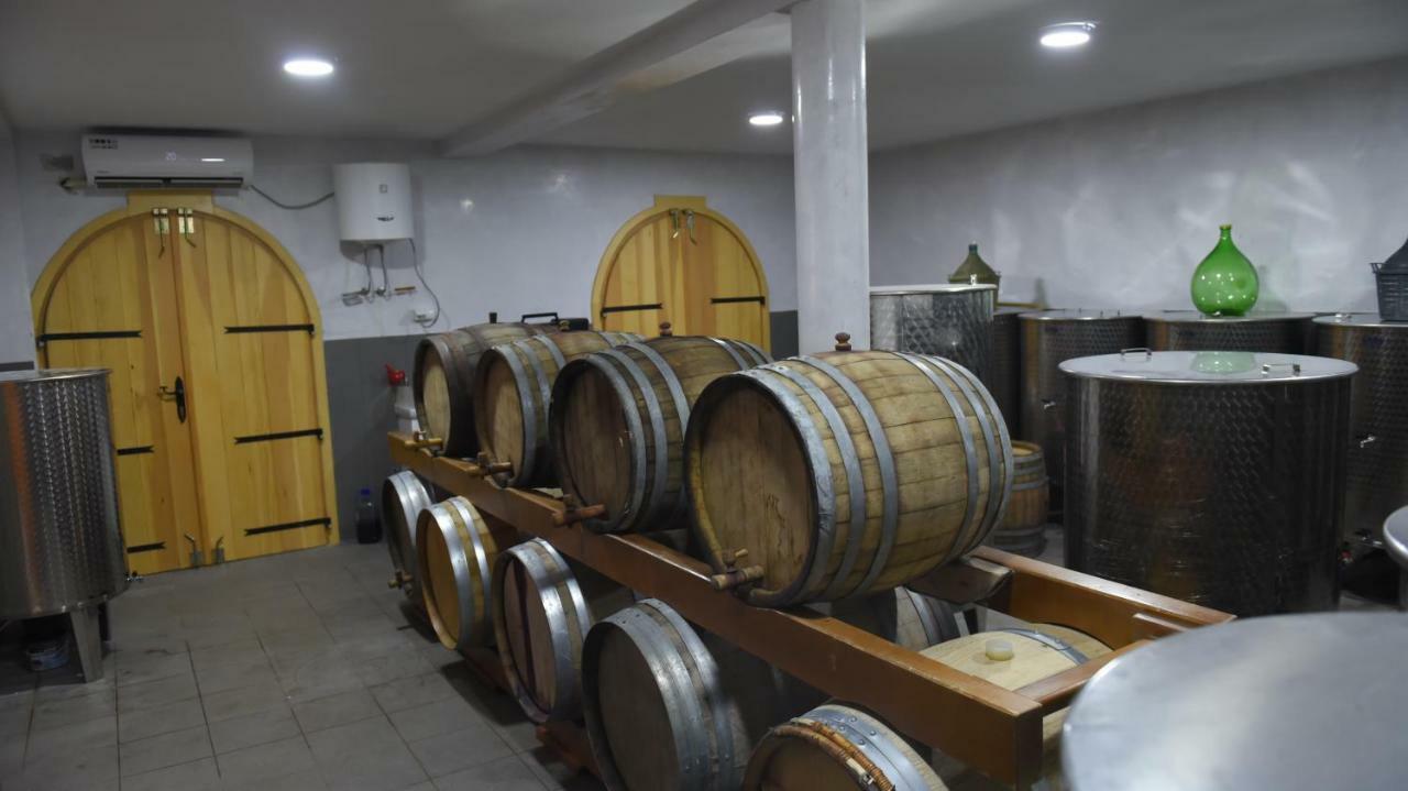 Djukic Winery Appartement Podgorica Buitenkant foto