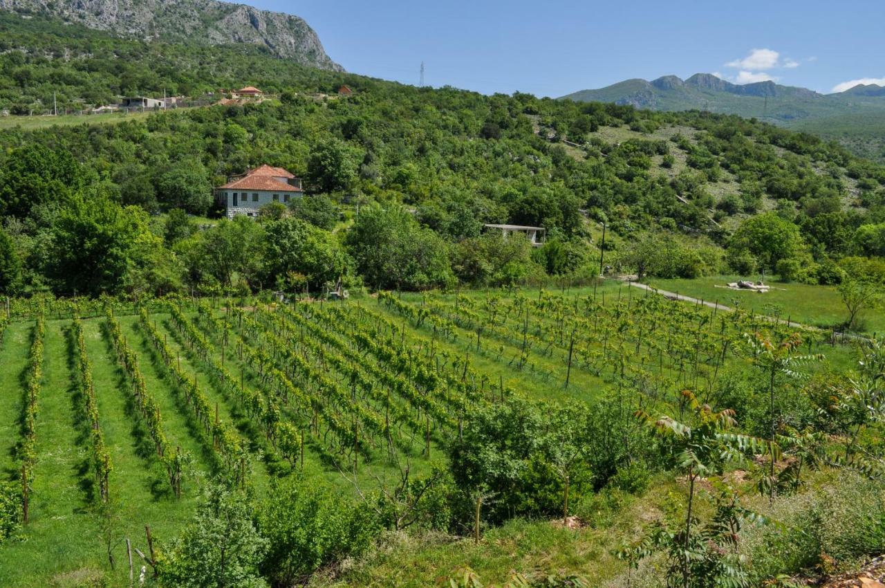 Djukic Winery Appartement Podgorica Buitenkant foto